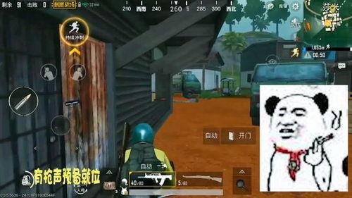 吃瓜战地,揭秘娱乐圈幕后风云