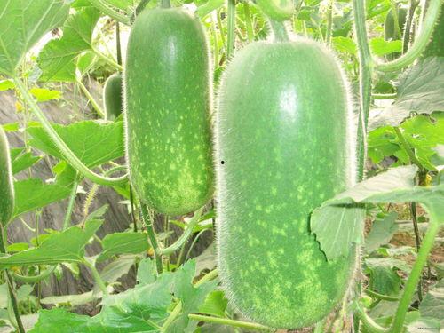 吃瓜2022.2.22,吃瓜群众视角下的热点事件回顾