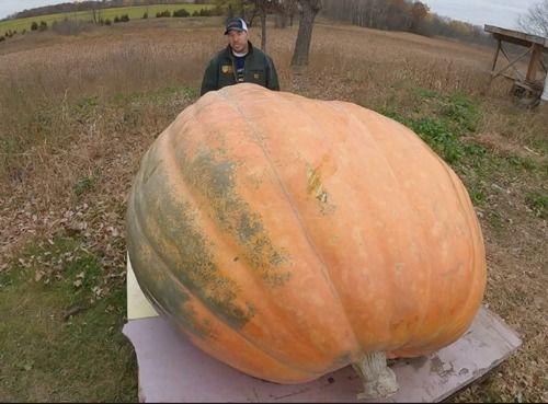 吃瓜喝酒吐,一场别开生面的吐露盛宴