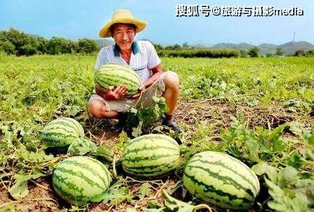 路边吃瓜的你,见证人间百态