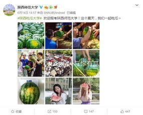 校吃瓜网站,揭秘校吃瓜网站背后的热点事件
